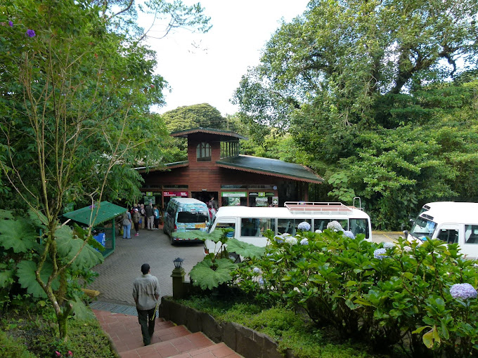 AreaConservacionMonteVerde